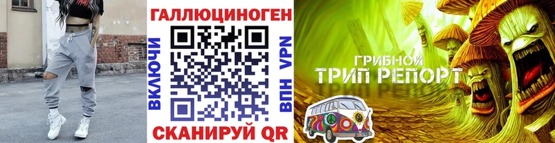 Псилоцибиновые грибы MAGIC MUSHROOMS наркота Рыбинск